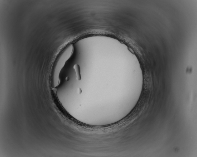 X0000098030015200804251425