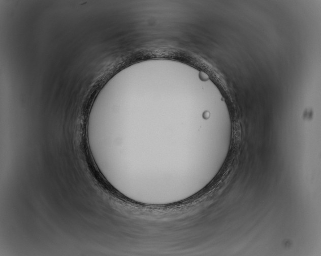 X0000098030018200804251425