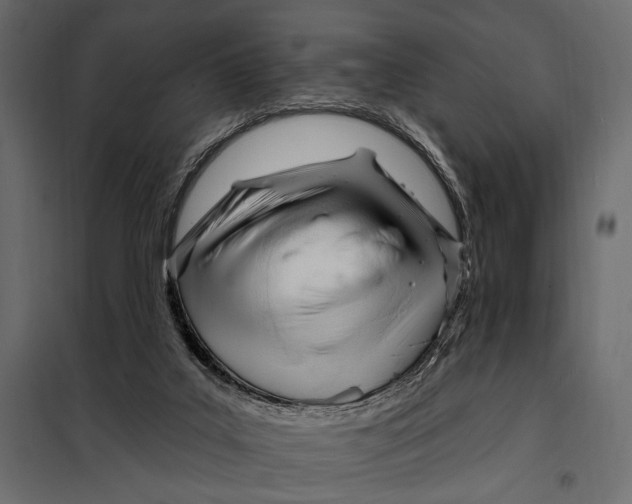 X0000098030019200804251425