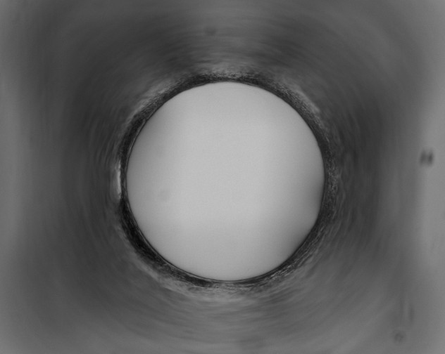 X0000098030020200804251425