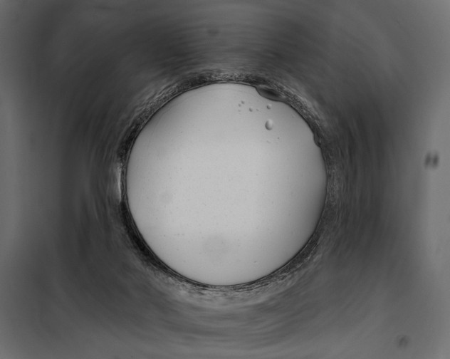 X0000098030022200804251425