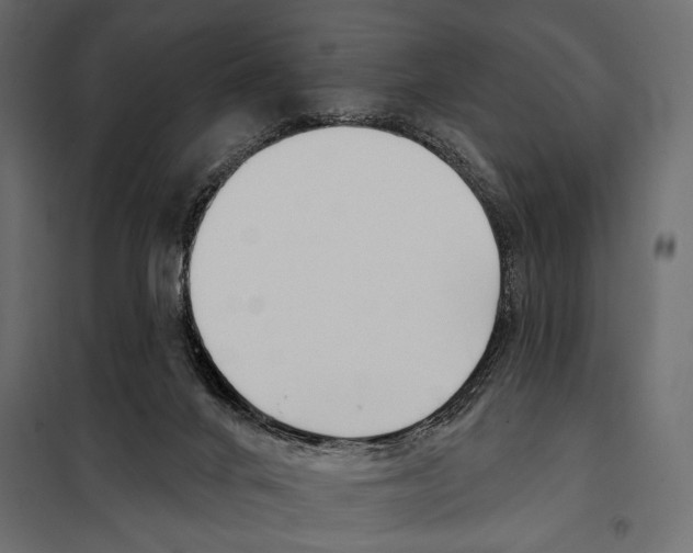 X0000098030024200804251425