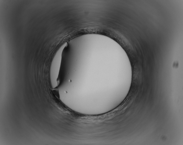 X0000098030025200804251425