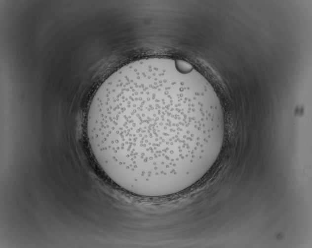 X0000098030026200804251425