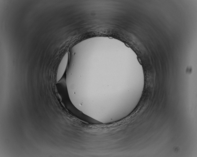 X0000098030029200804251425