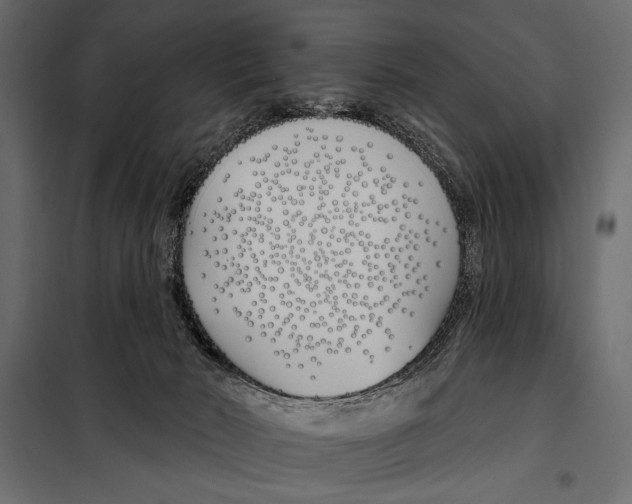 X0000098030030200804251425