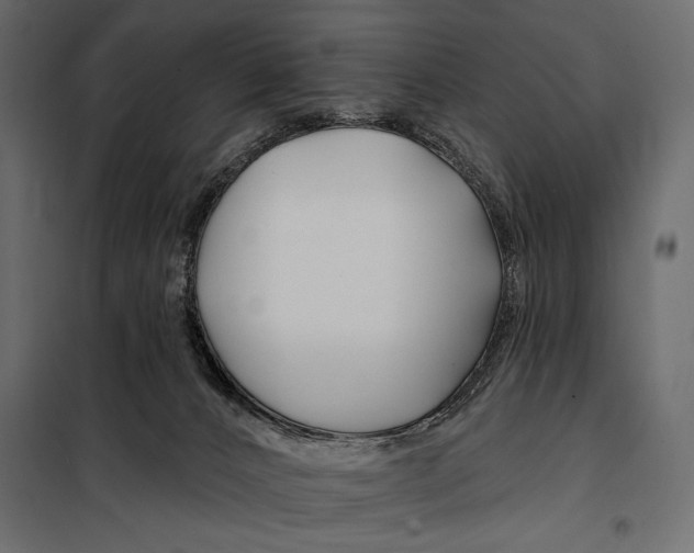 X0000098030032200804251425