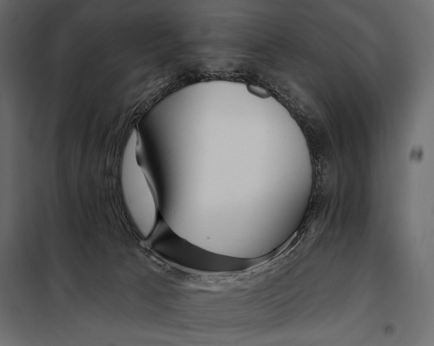 X0000098030033200804251425