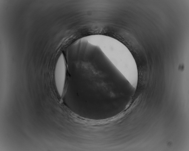 X0000098030035200804251425