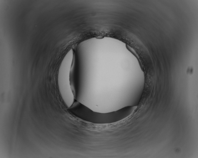 X0000098030037200804251425