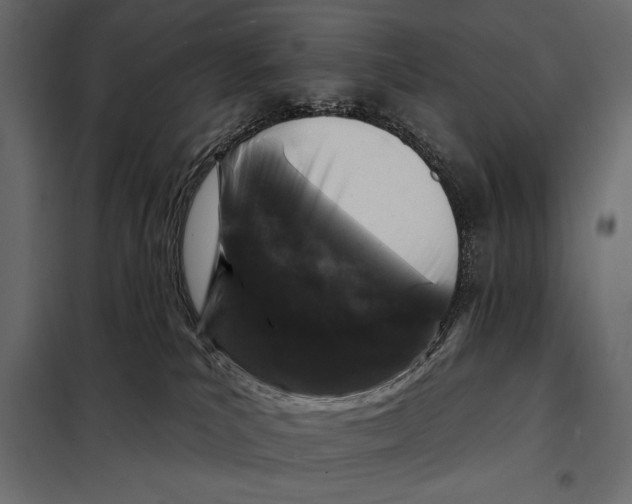 X0000098030039200804251425