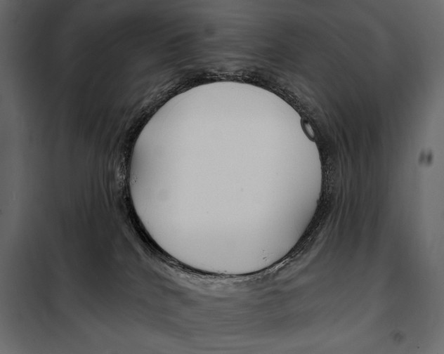 X0000098030040200804251425