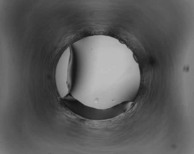 X0000098030041200804251425