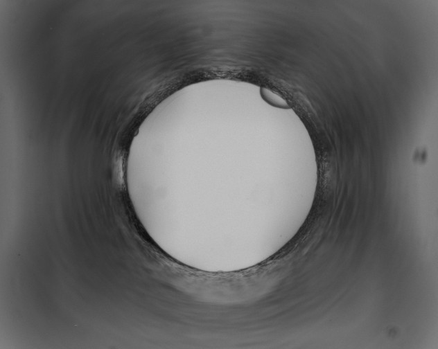 X0000098030042200804251425