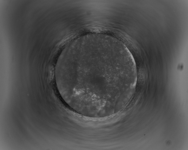 X0000098030043200804251425