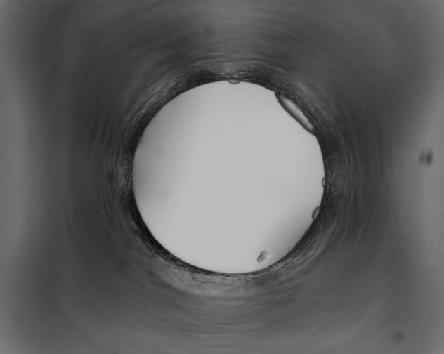 X0000098030044200804251425