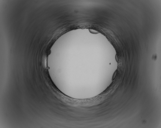 X0000098030046200804251425