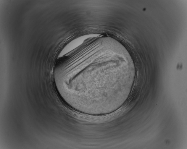 X0000098030048200804251425