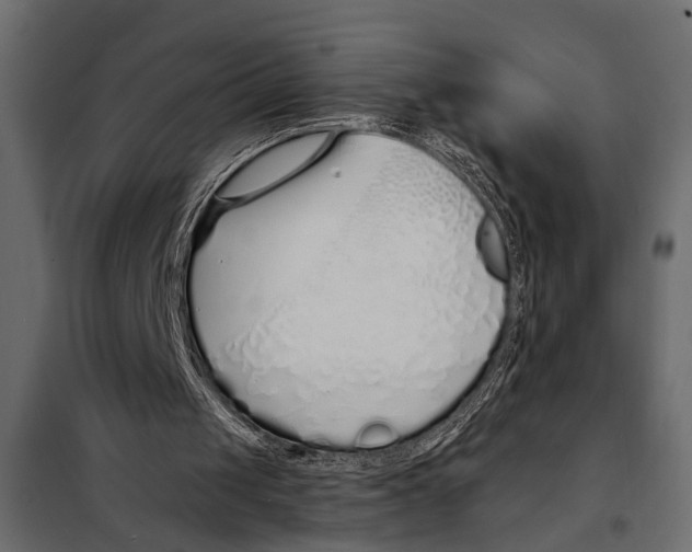 X0000098030049200804251424