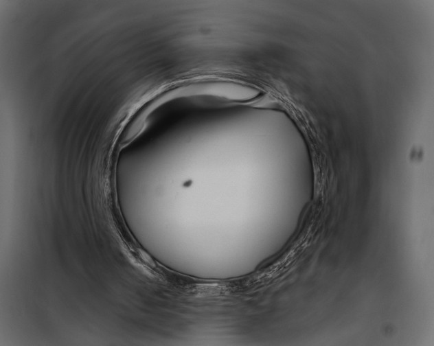 X0000098030050200804251424