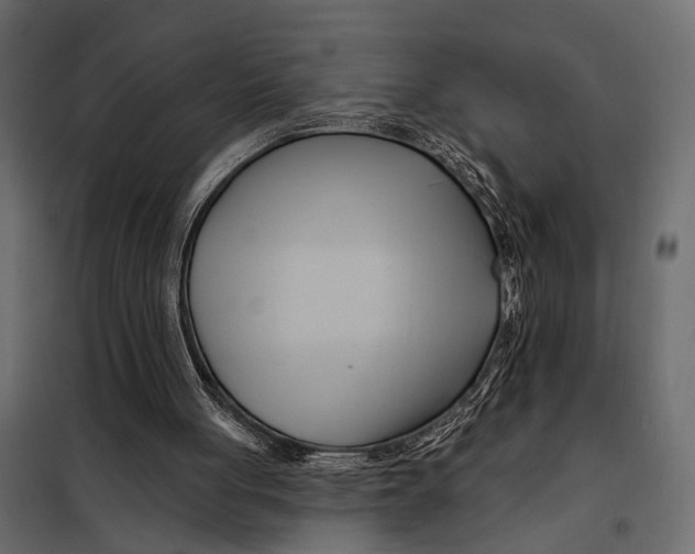 X0000098030051200804251424