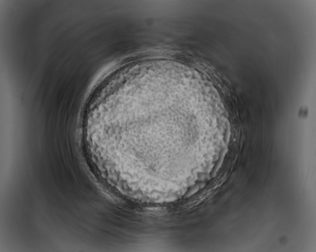 X0000098030053200804251424