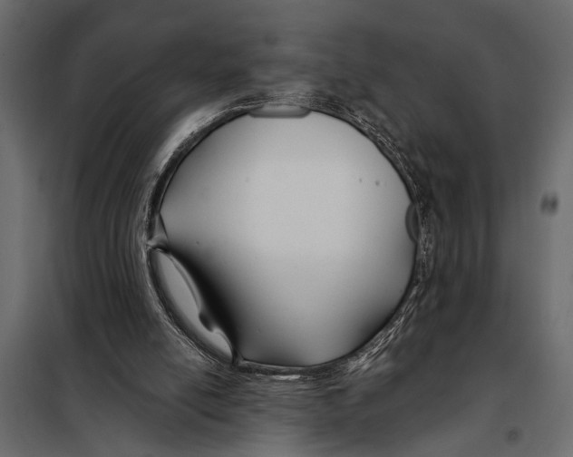 X0000098030054200804251424