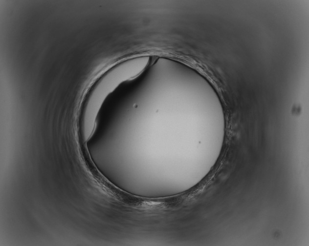 X0000098030055200804251424