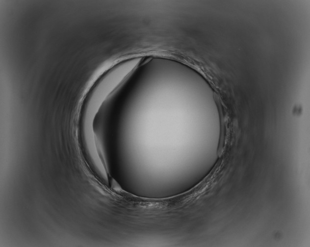 X0000098030056200804251424