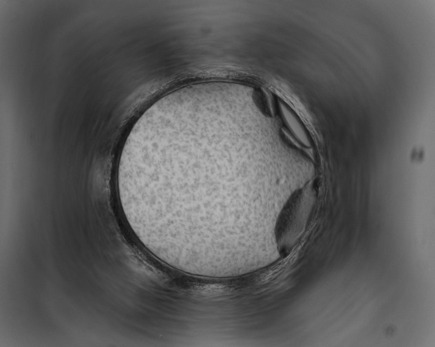 X0000098030058200804251424