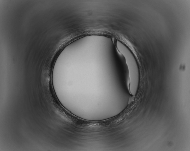 X0000098030059200804251424