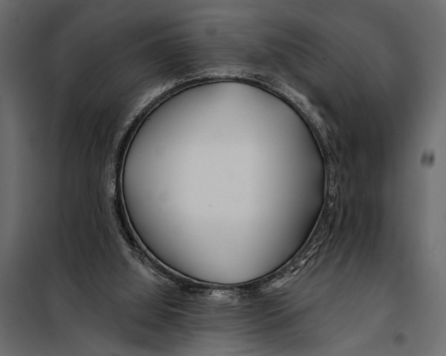 X0000098030060200804251424