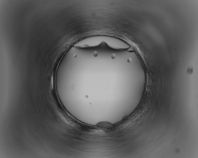 X0000098030061200804251424