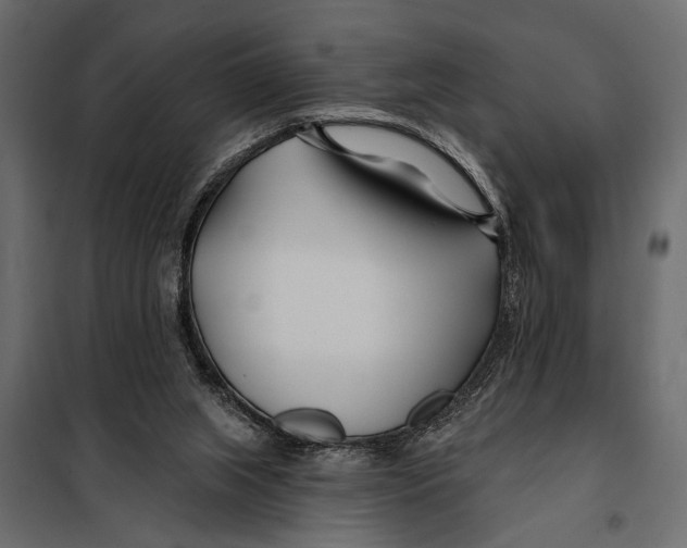 X0000098030063200804251424