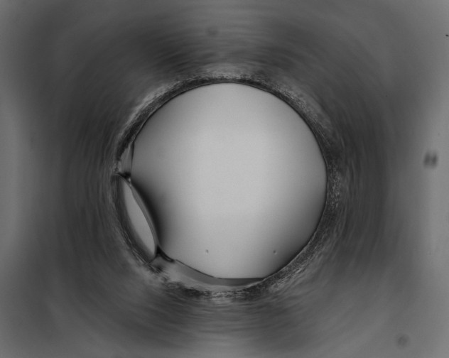 X0000098030064200804251424