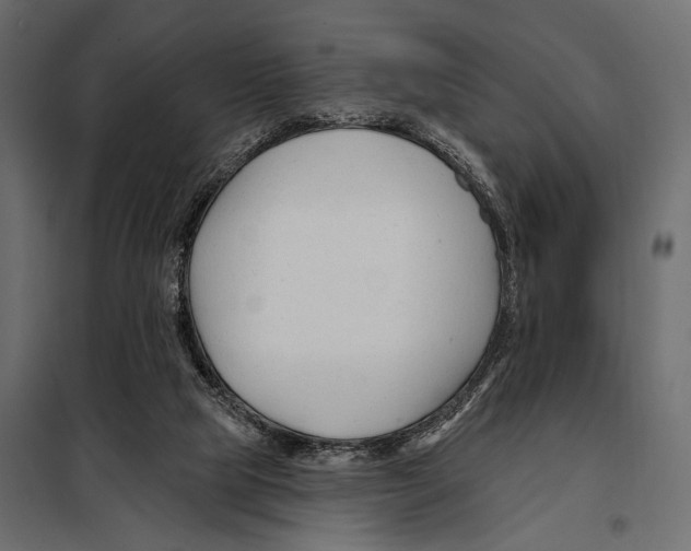 X0000098030065200804251424