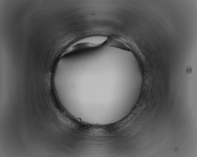 X0000098030066200804251424