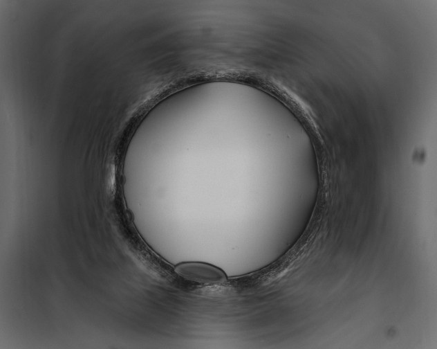 X0000098030067200804251424