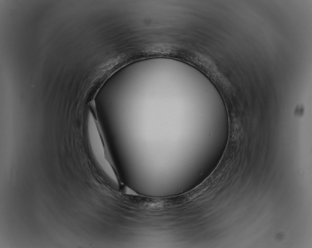 X0000098030068200804251424