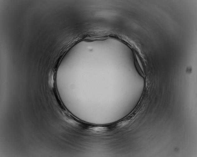 X0000098030069200804251425