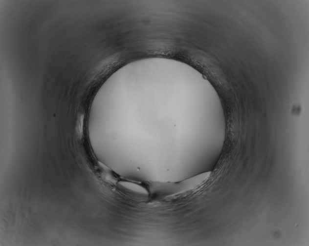 X0000098030070200804251425