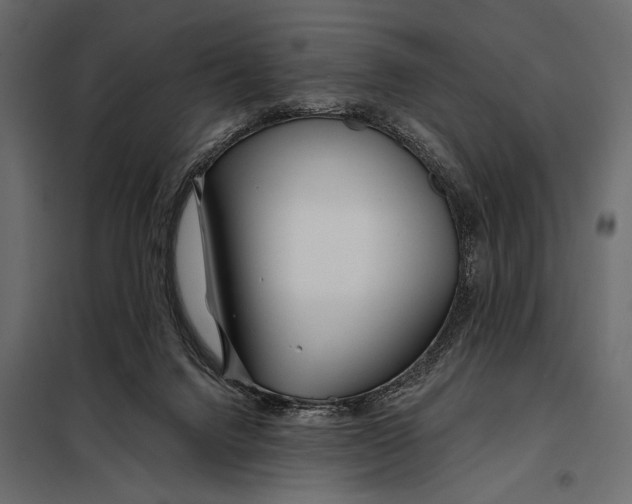 X0000098030072200804251425