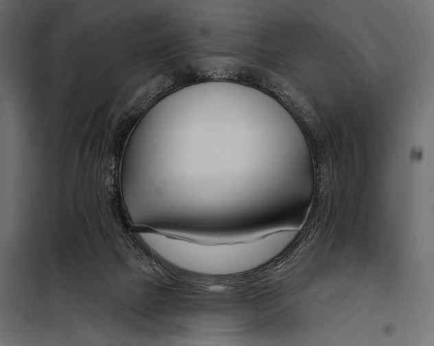 X0000098030073200804251425