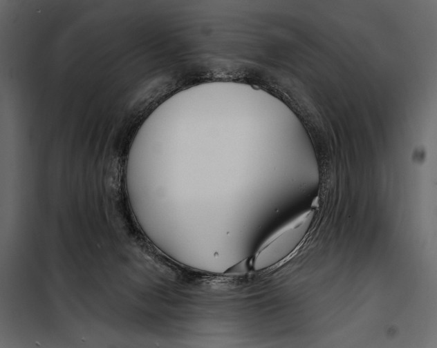 X0000098030078200804251425