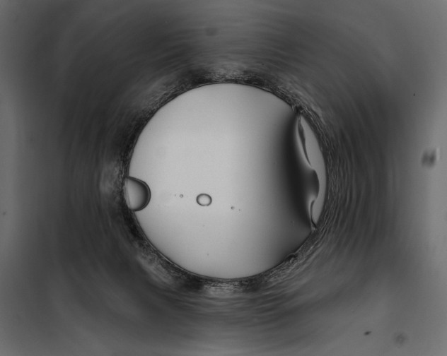 X0000098030079200804251425