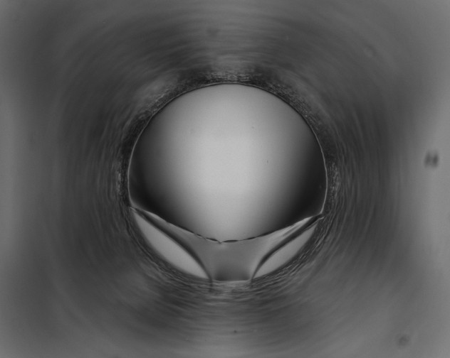 X0000098030080200804251425