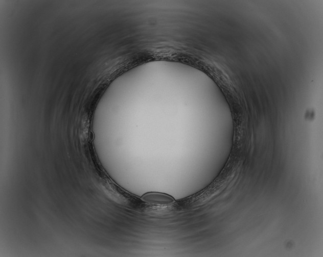 X0000098030081200804251425