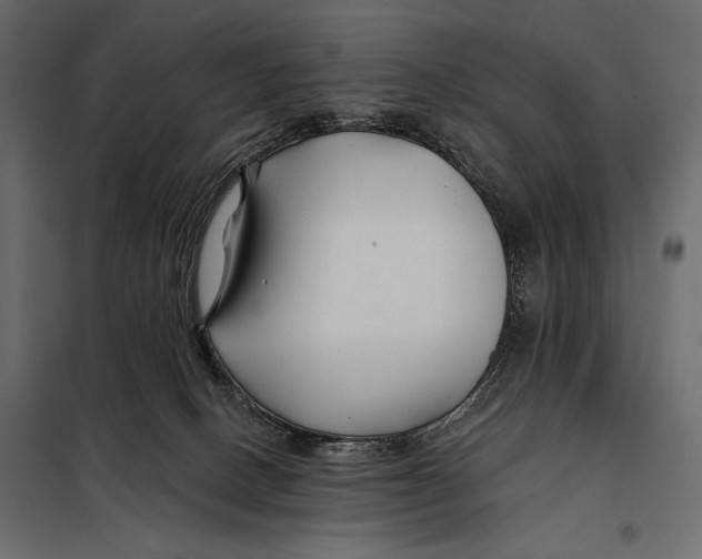 X0000098030082200804251425