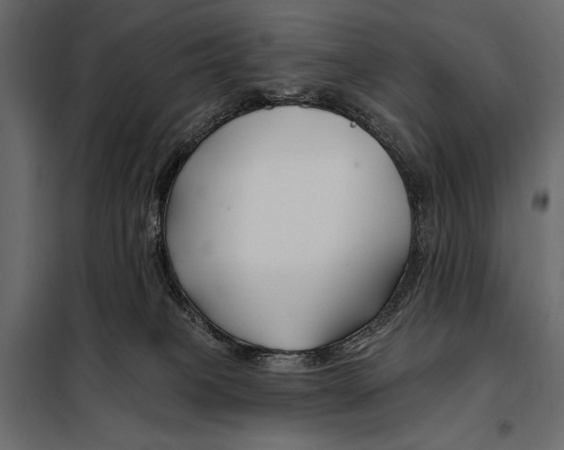 X0000098030085200804251425