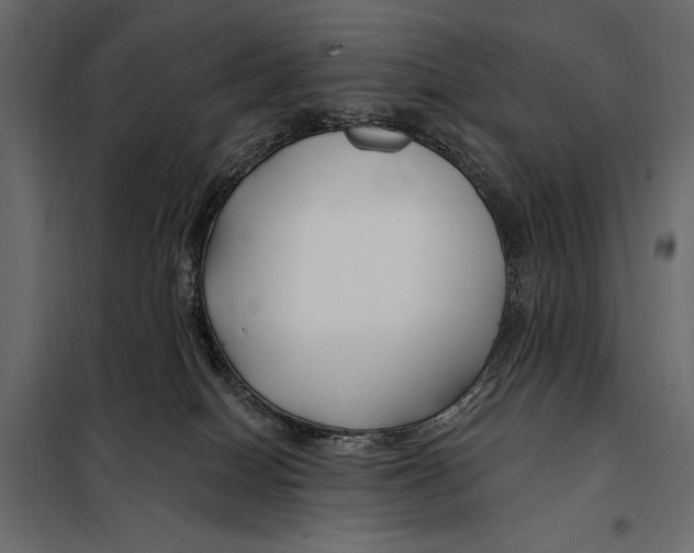 X0000098030086200804251425